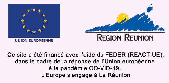 Région réunion financement europe